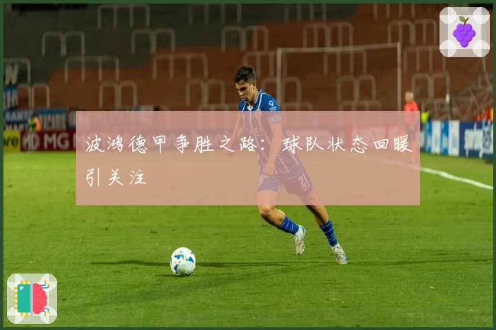 波鸿德甲争胜之路:球队状态回暖引关注