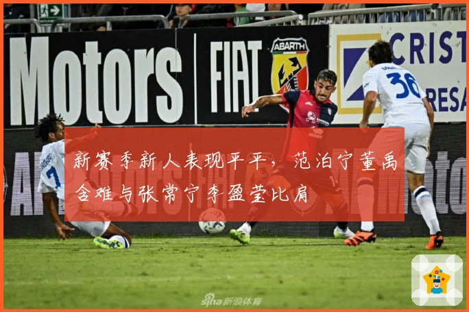 新赛季新人表现平平,范泊宁董禹含难与张常宁李盈莹比肩