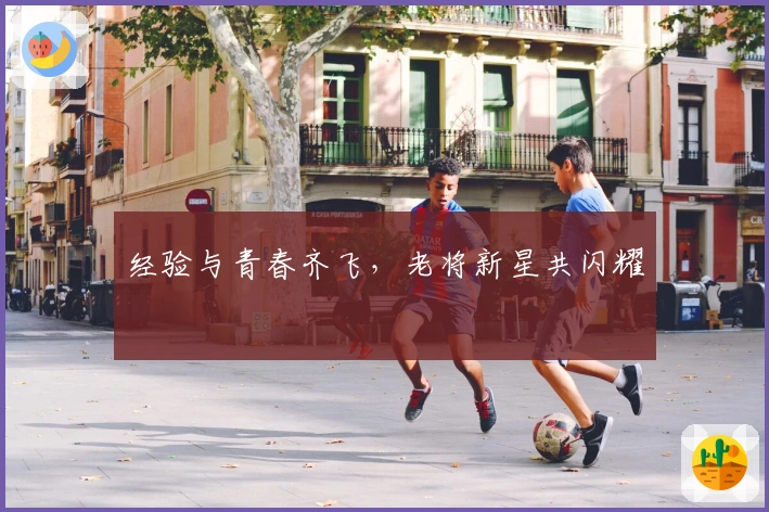 经验与青春齐飞，老将新星共闪耀